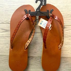 Time Abd Tru Flip Flops